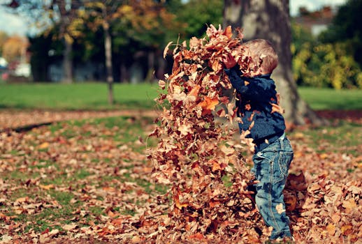 Fall Fun in Ottawa: Activities and Vocabulary Aids for Families with a Child with a Disability